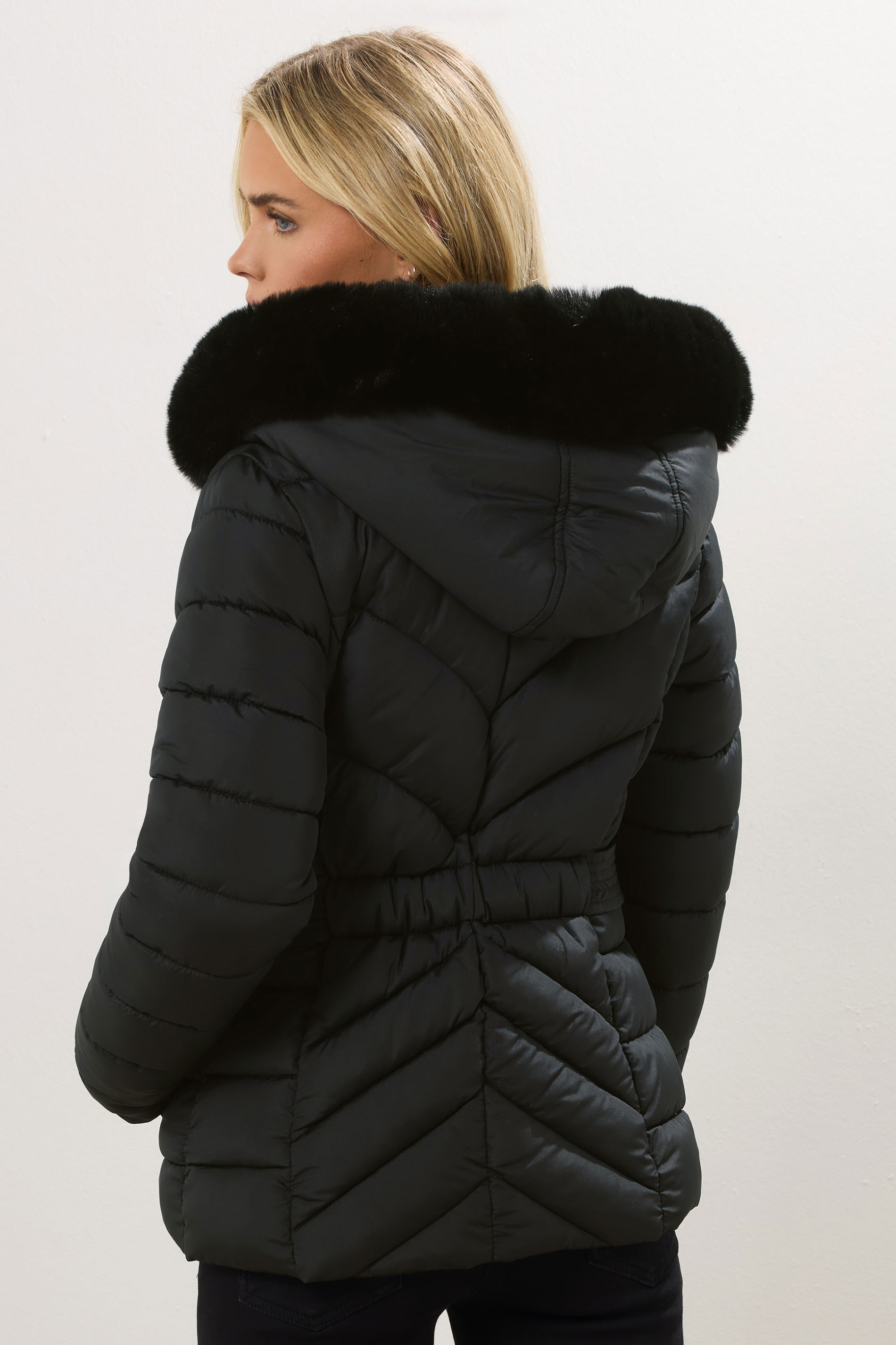 M&Co Petite Black Padded Puffer Jacket | M&Co 2