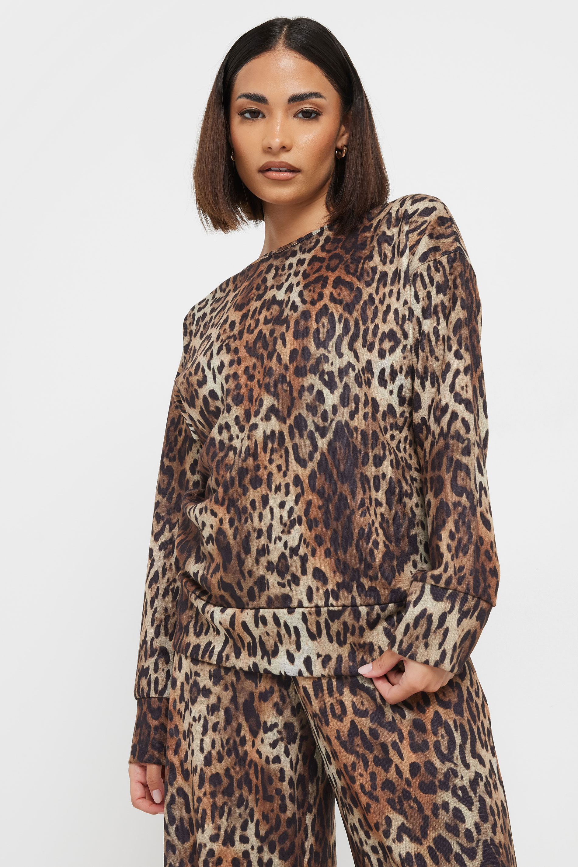 PixieGirl Petite Women's Brown Soft Touch Leopard Print Jumper | PixieGirl 3