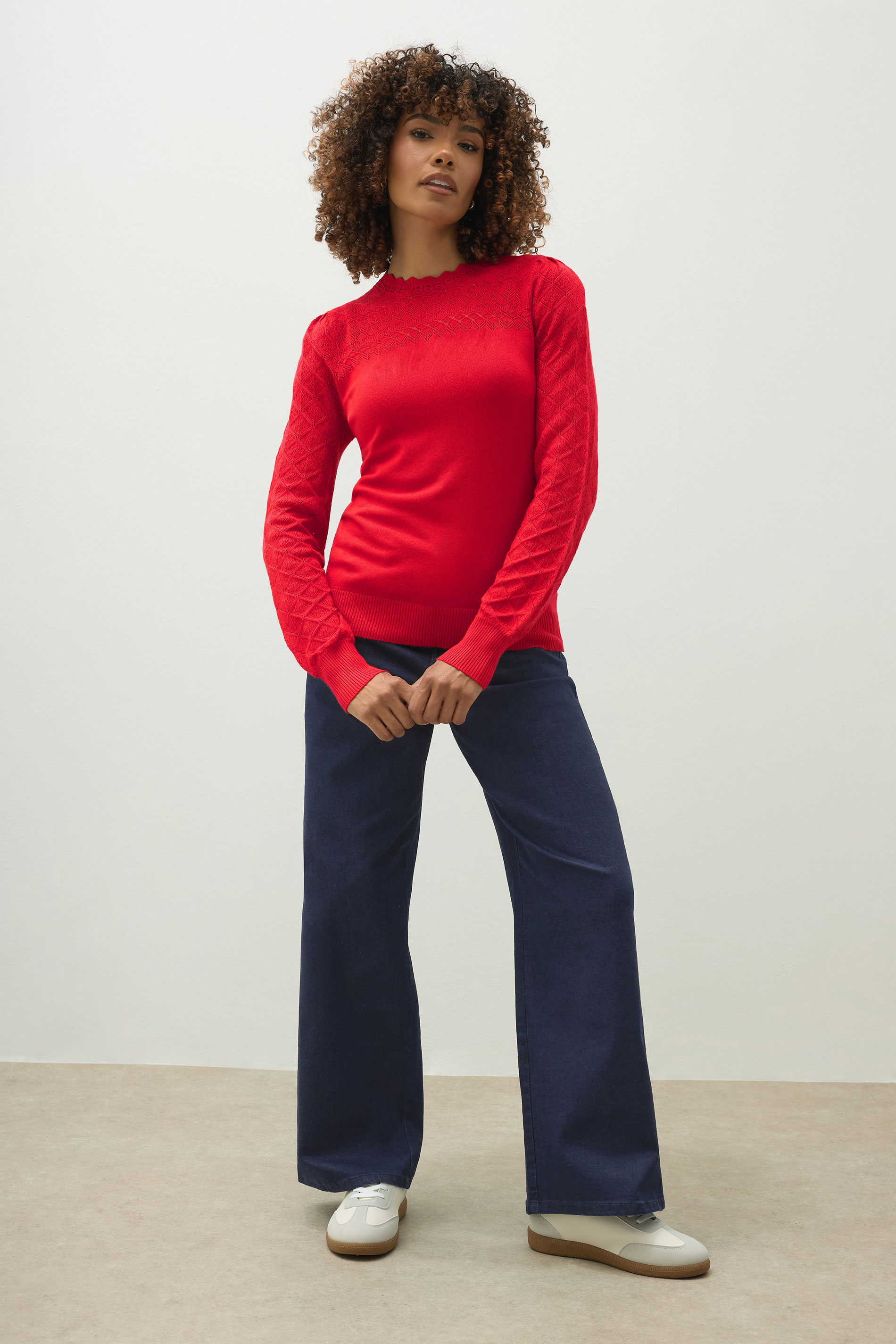 M&Co Red Pointelle Sleeve Jumper | M&Co 1