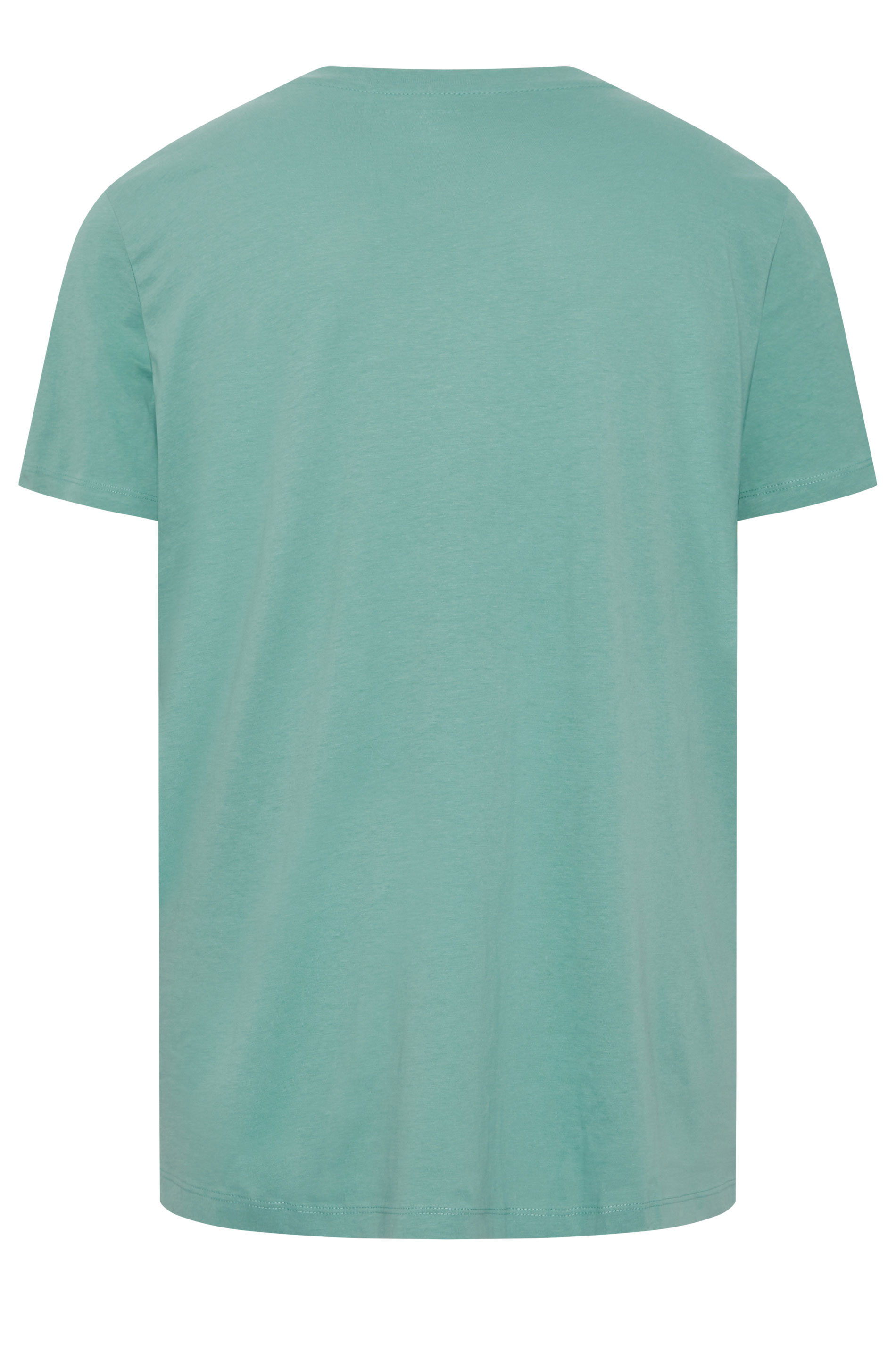 JACK & JONES Big & Tall Blue Tropical Skeleton Print Tee | BadRhino 2