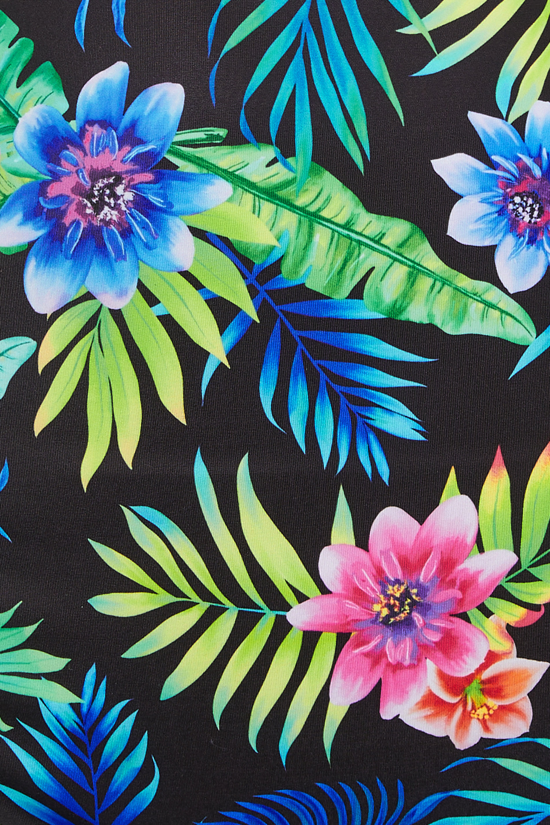YOURS Plus Size Black Tropical Floral Print High Waisted Bikini Briefs | Yours Clothing 5