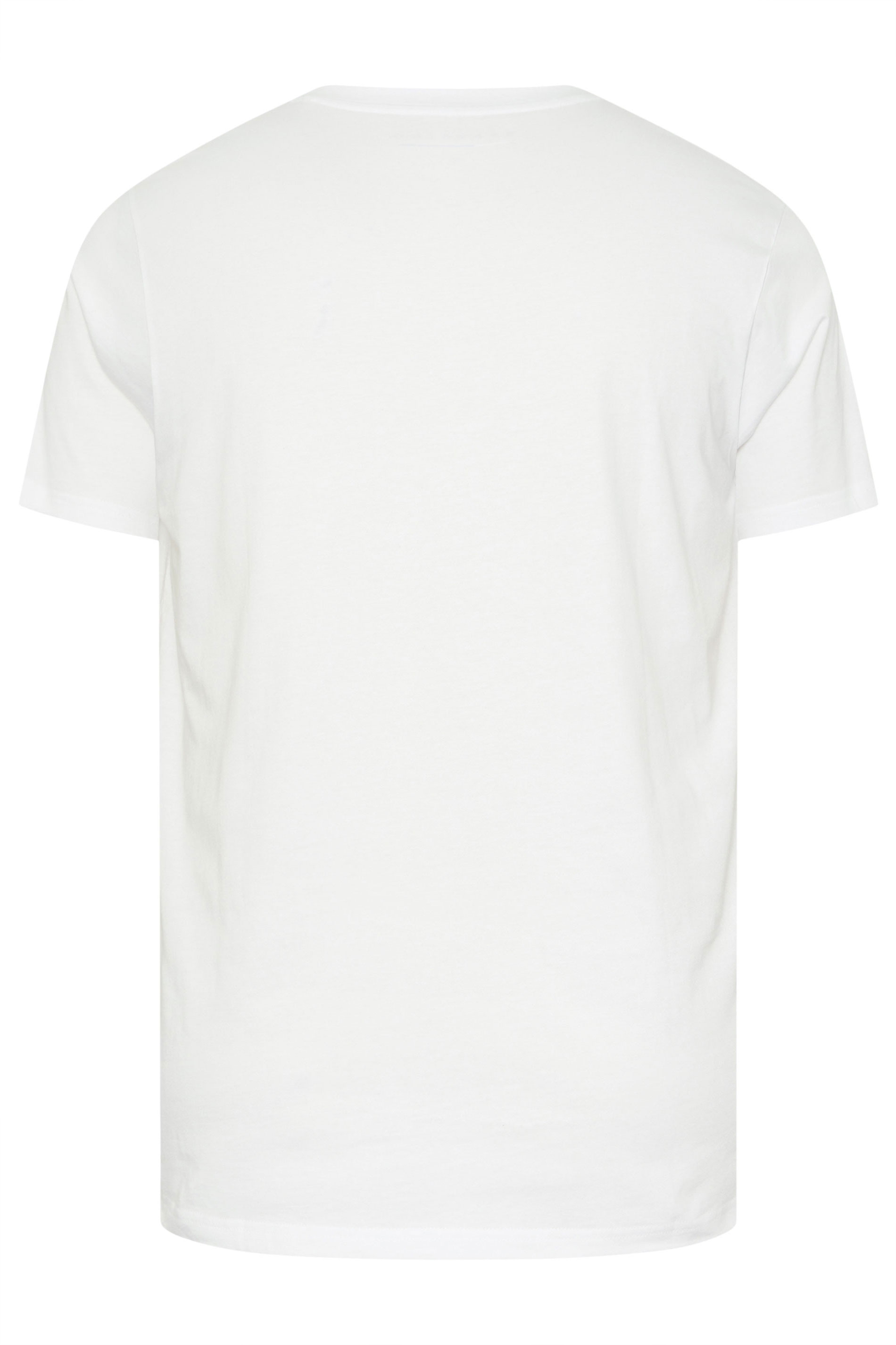 BadRhino Big & Tall White V-Neck T-Shirt | BadRhino  7