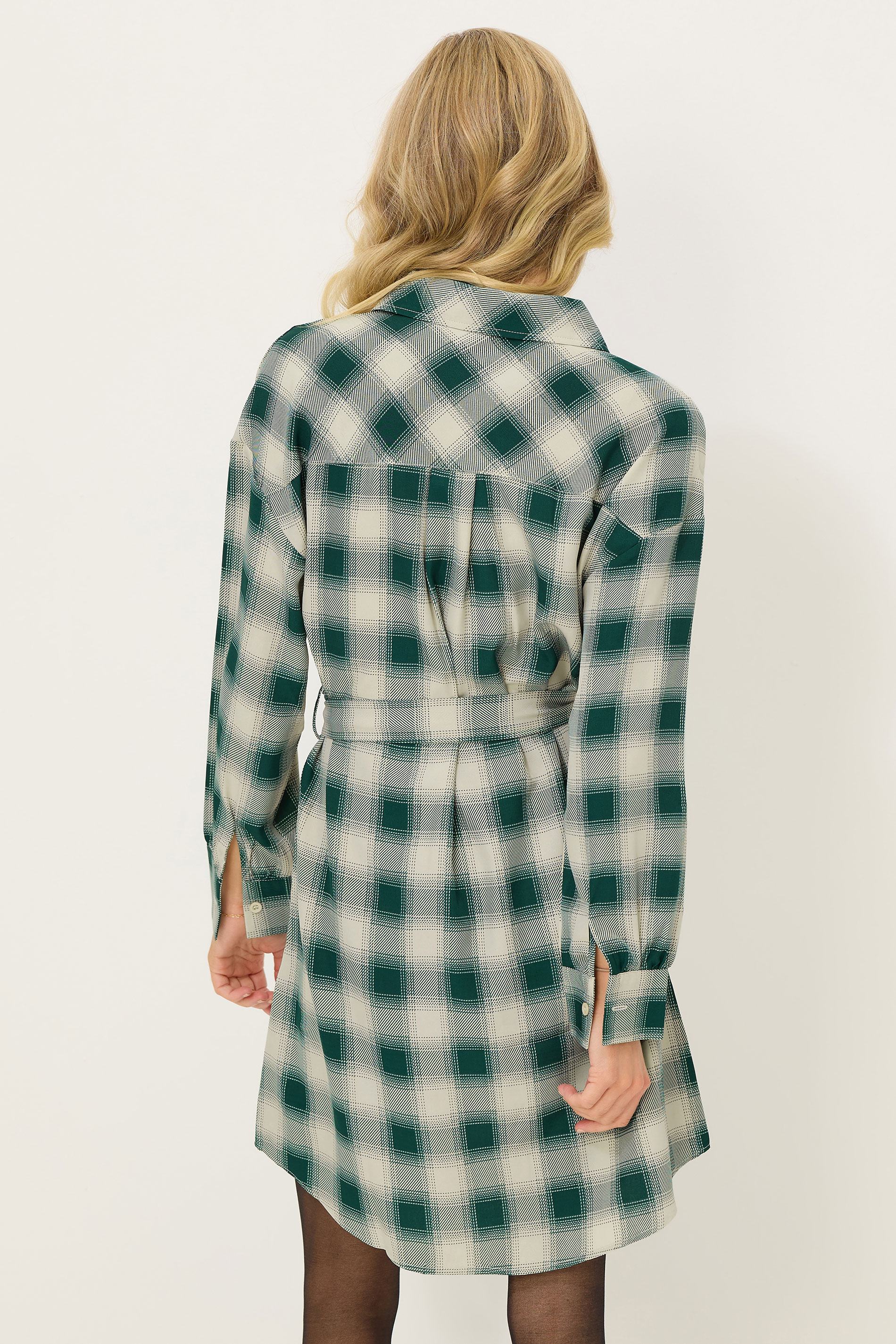 PixieGirl Petite Women's Green Check Print Shirt Dress | PixieGirl 2