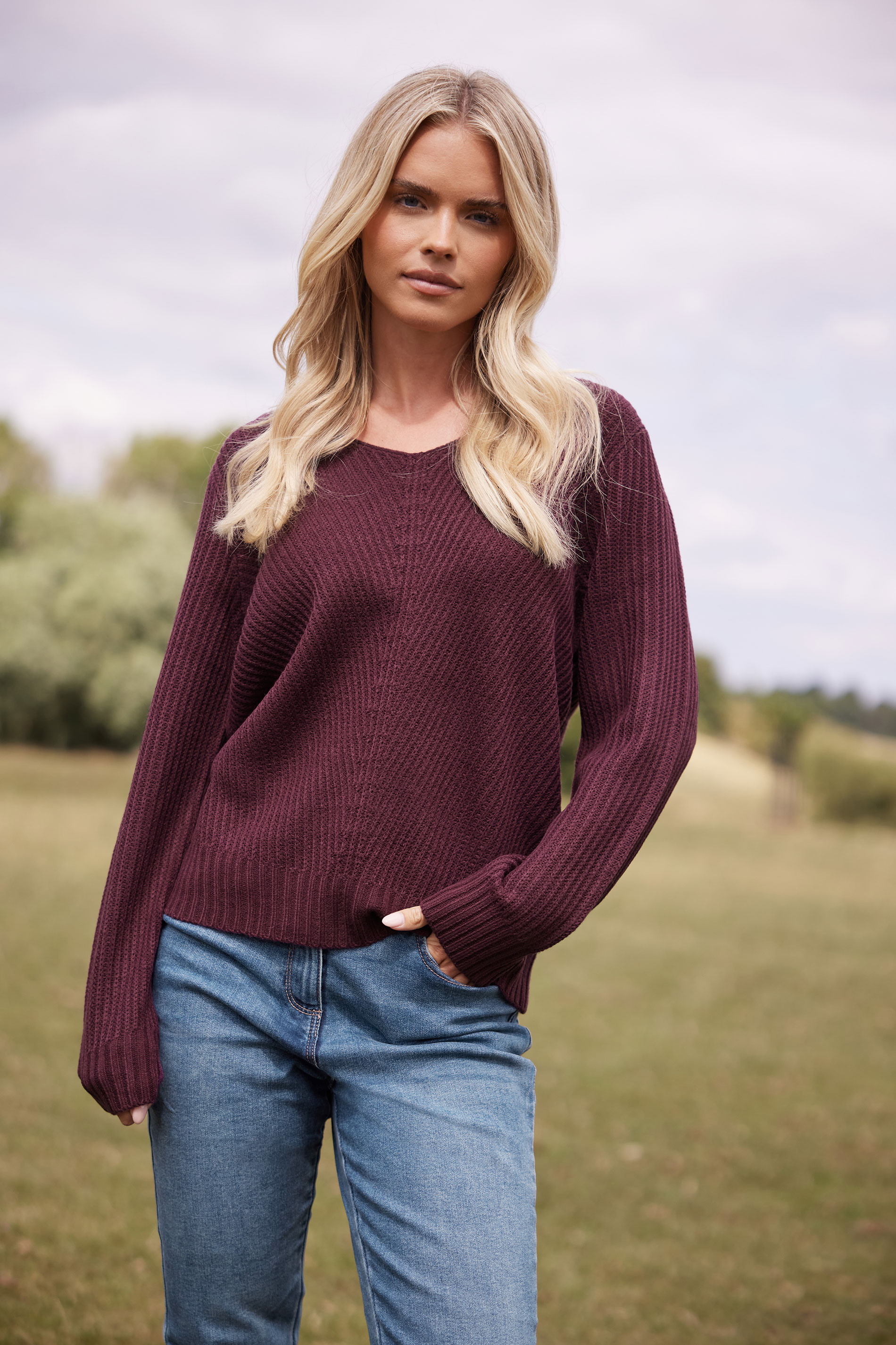 Women's Purple M&Co Petites M&Co Petite Berry Vneck Knitted Jumper Size 16-18