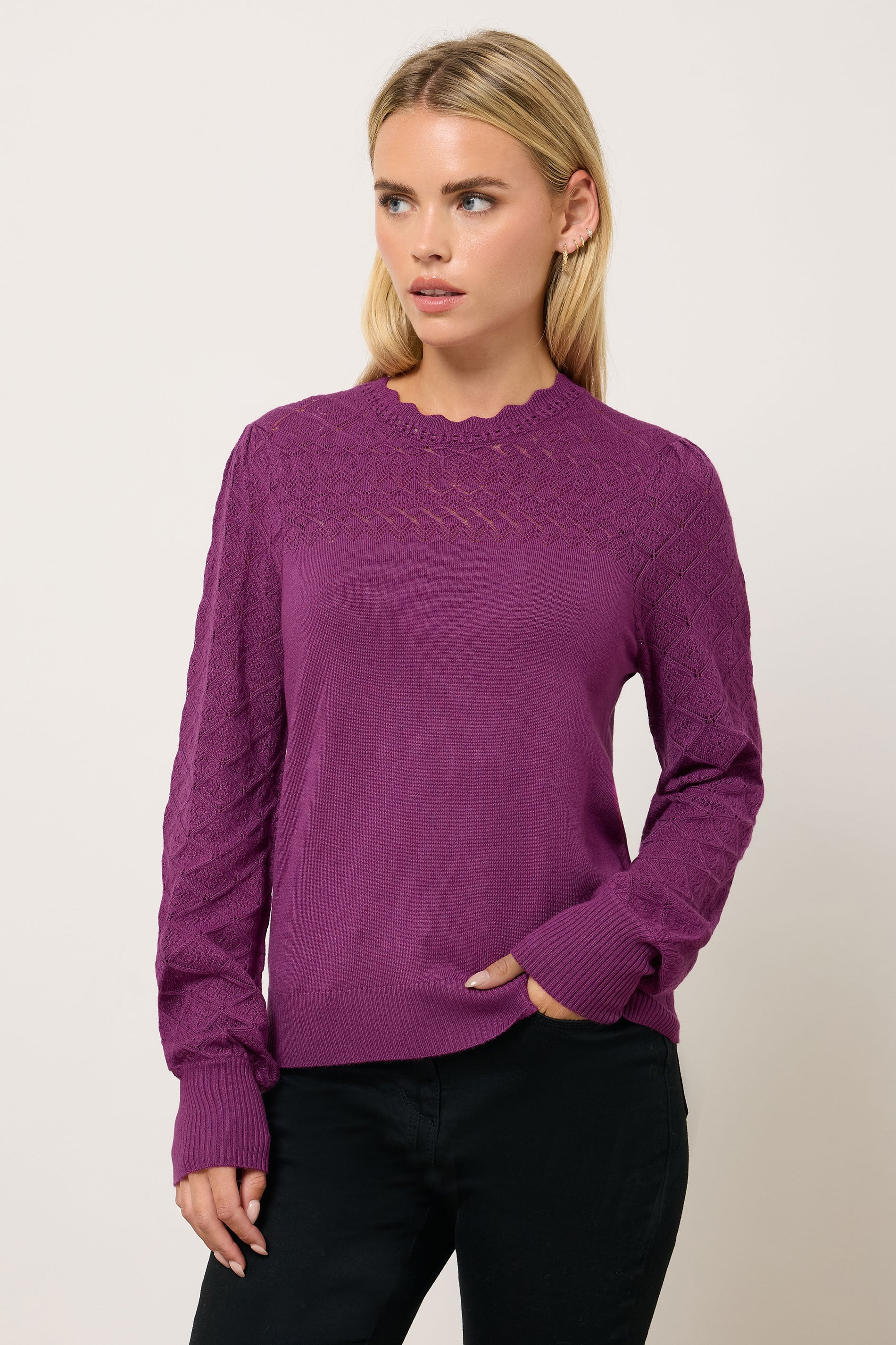 M&Co Petite Berry Pink Pointelle Long Sleeve Jumper | M&Co 3