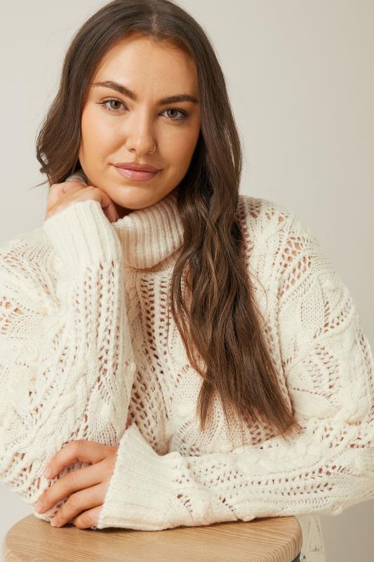 EVANS Plus Size White Roll Neck Stitch Detailing Knitted Jumper | Evans 1