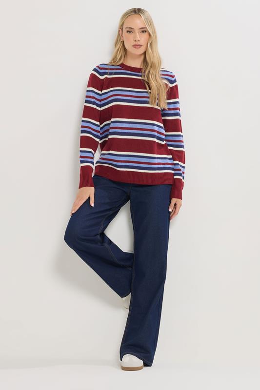 LTS Tall Red Knitted Stripe Jumper | Long Tall Sally 2