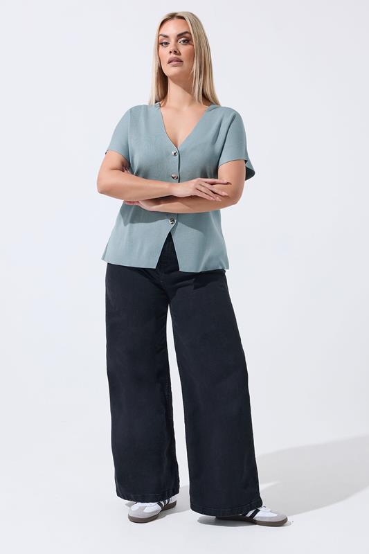 LIMITED COLLECTION Plus Size Blue Short Sleeve Knitted Top | Yours Clothing 1