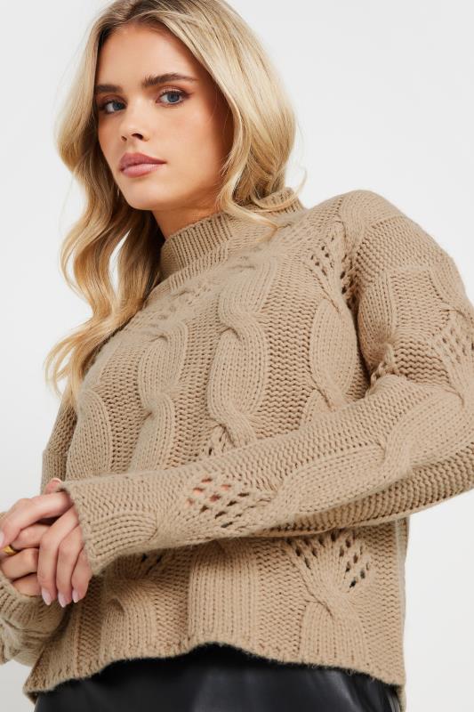 PixieGirl Petite Women's Beige Brown Cable Knit High Neck Jumper | PixieGirl 4