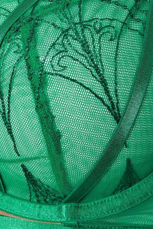 PLAYFUL PROMISES Plus Size Green Lace Embroidered Underwired Bra | Yours Clothing 7