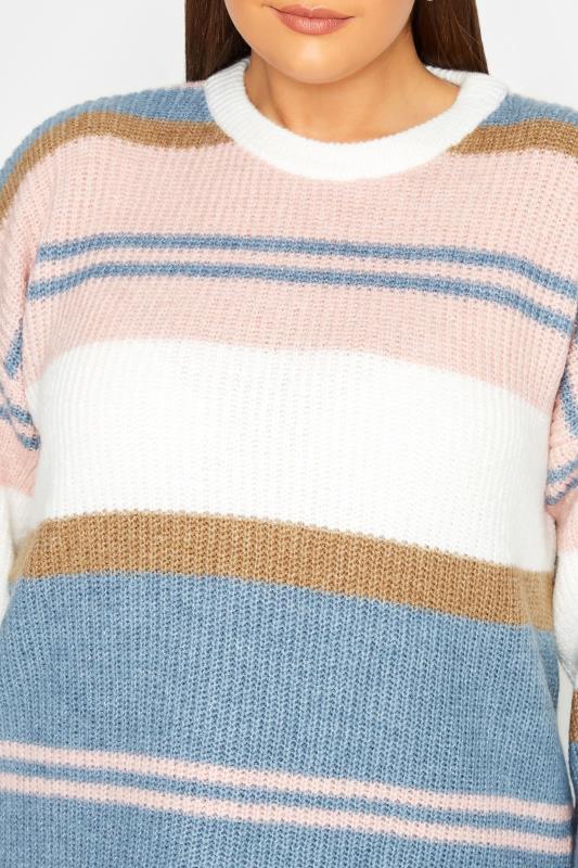 YOURS LUXURY Plus Size Blue & Pink Stripe Longline Jumper | Yours Clothing 5