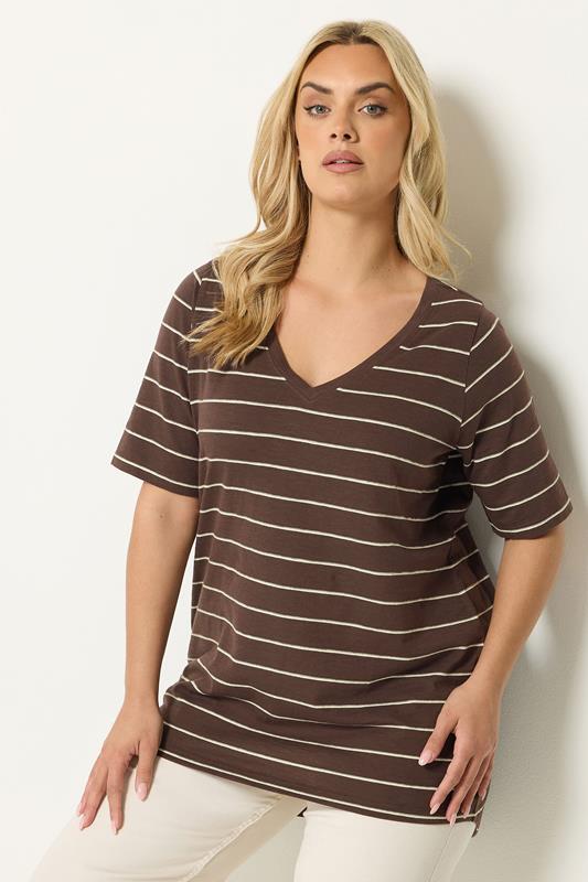 YOURS Curve Chocolate Brown Stripe T-Shirt