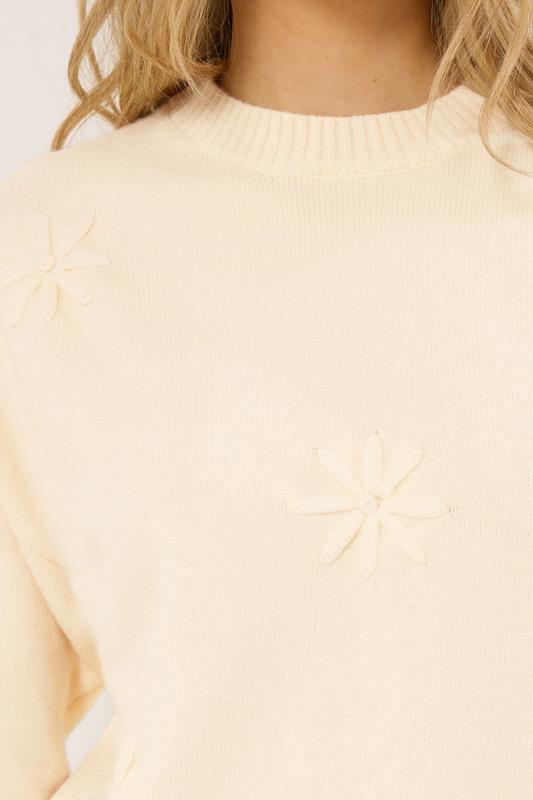 LTS Tall Ivory White Floral Embroidered Jumper | Long Tall Sally  4