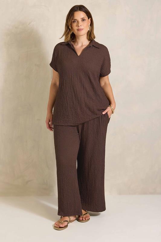 EVANS Plus Size Chocolate Brown Crinkle Short Sleeve Top | Evans 1