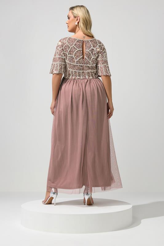 LUXE Plus Size Pink Embellished Maxi Dress | Yours Clothing 2