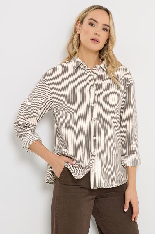 LTS Tall Women's Chocolate Brown & White Stripe Cotton Shirt | Long Tall Sally 1