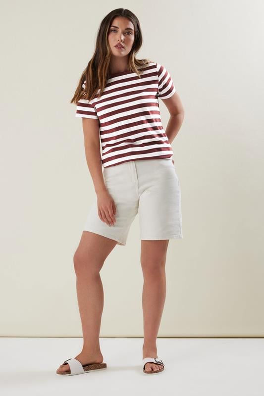 LTS Tall Burgundy Red Striped Cotton T-shirt | Long Tall Sally 1