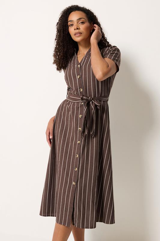  M&Co Chocolate Brown Striped Shirt Dress