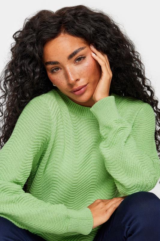 M&Co Petite Sage Green Ribbed Knit Jumper | M&Co 4