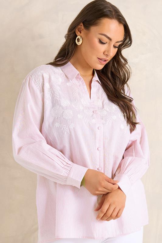 EVANS Curve Pink Stripe Embroidered Shirt