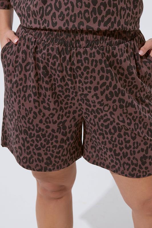 LIMITED COLLECTION Plus Size Chocolate Brown Leopard Shorts | Yours Clothing 4