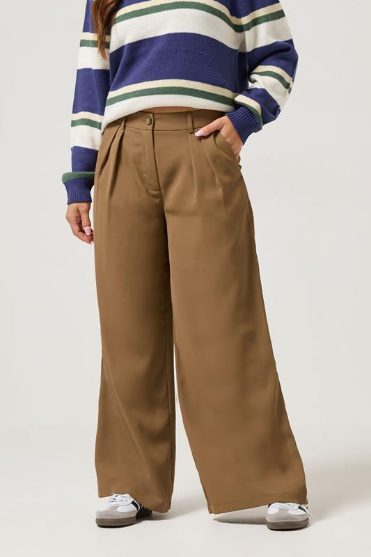 PixieGirl Petite Women's Brown Pleated Formal Trousers | PixieGirl 1