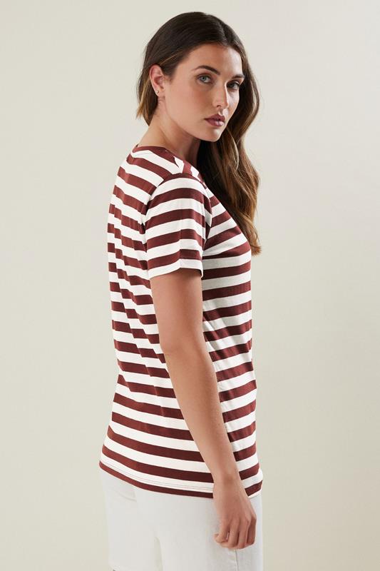 LTS Tall Burgundy Red Striped Cotton T-shirt | Long Tall Sally 2