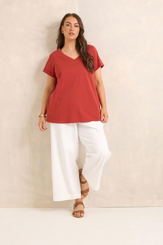 EVANS Plus Size Rust Orange V Neck Cotton T-Shirt | Evans 2