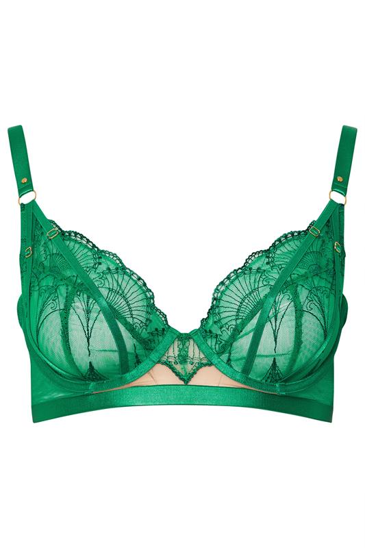  PLAYFUL PROMISES Green Lace Embroidered Underwired Bra