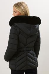 M&Co Petite Black Padded Puffer Jacket | M&Co 2