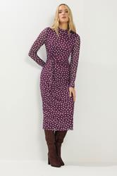 LTS Tall Berry Red Polka Dot Mesh Long Sleeve Maxi Dress | Long Tall Sally 3