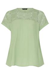 EVANS Curve Green Lace Detail Short Sleeve Top