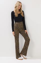 LTS Tall Brown Leopard Print Flared Leggings | Long Tall Sally 3