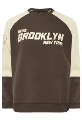 PixieGirl Petite Women's Chocolate Brown Brooklyn Slogan Sweatshirt | PixieGirl 5