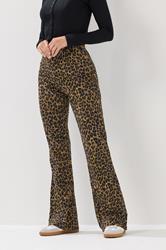 LTS Tall Brown Leopard Print Flared Leggings | Long Tall Sally 1
