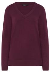 LTS Tall Cherry Red Knit V-Neck Jumper