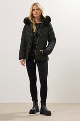 M&Co Petite Black Padded Puffer Jacket | M&Co 1