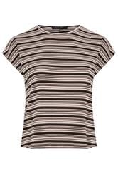 LIMITED COLLECTION Plus Size Brown Stripped Ribbed T-Shirt | Yours Clothing 5