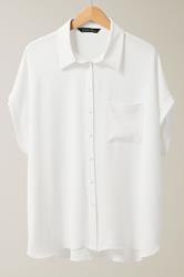 EVANS Curve White Grown-On Sleeve Blouse