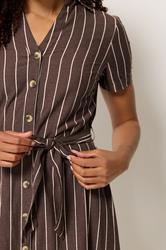 M&Co Chocolate Brown Stripe Midi Shirt Dress | M&Co 5