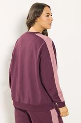 YOURS Plus Size Burgundy Red 'NYC' Side Stripe Sweatshirt | Yours Clothing 6