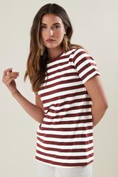 LTS Tall Burgundy Red Striped Cotton T-shirt | Long Tall Sally 3