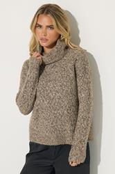 PixieGirl Petite Women's Beige Brown Chunky Roll Neck Jumper | PixieGirl 3