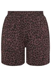 LIMITED COLLECTION Plus Size Chocolate Brown Leopard Shorts | Yours Clothing 5