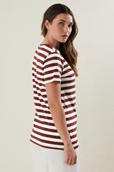 LTS Tall Burgundy Red Striped Cotton T-shirt | Long Tall Sally 2