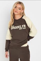 PixieGirl Petite Women's Chocolate Brown Brooklyn Slogan Sweatshirt | PixieGirl 3
