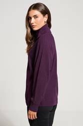 LTS Tall Purple Batwing Roll Neck Jumper | Long Tall Sally 2