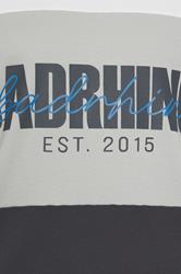 BadRhino Big & Tall Grey Cut & Sew Scripted T-Shirt | BadRhino 5