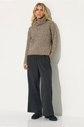 PixieGirl Petite Women's Beige Brown Chunky Roll Neck Jumper | PixieGirl 1