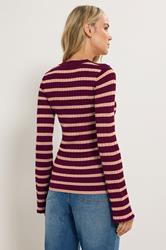 LTS Tall Burgundy Red Striped Ribbed Jumper | Long Tall Sally 2